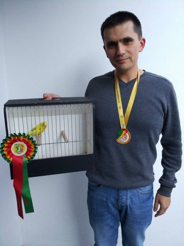 Vasco Duarte e periquito arlequim verde campeão do mundo