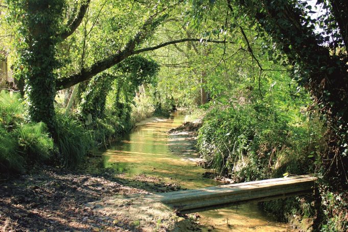 Descarga de efluentes na Ribeira do Fagundo